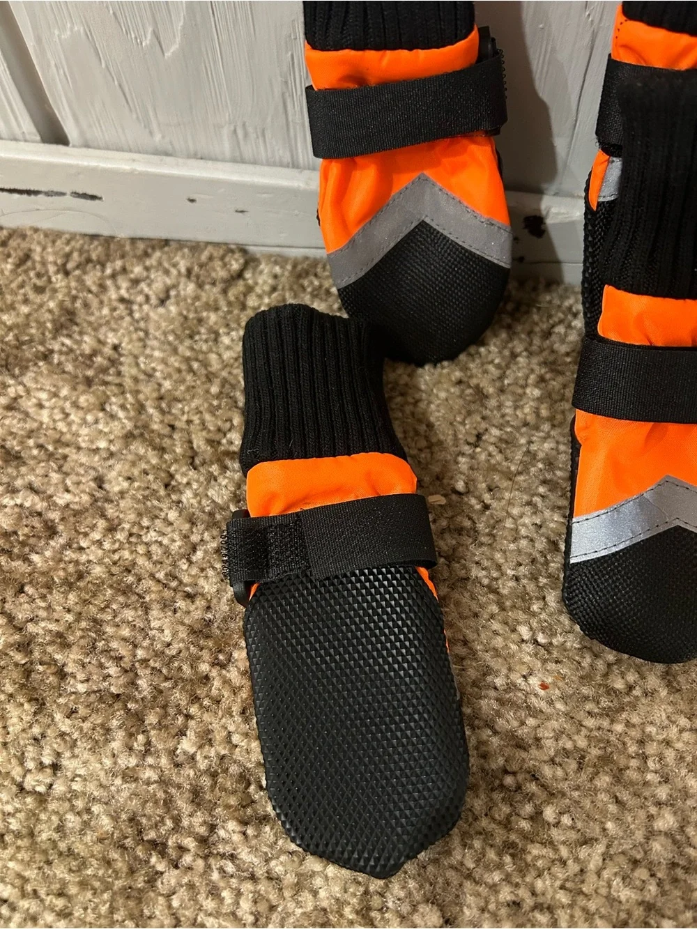 New Dog Boots